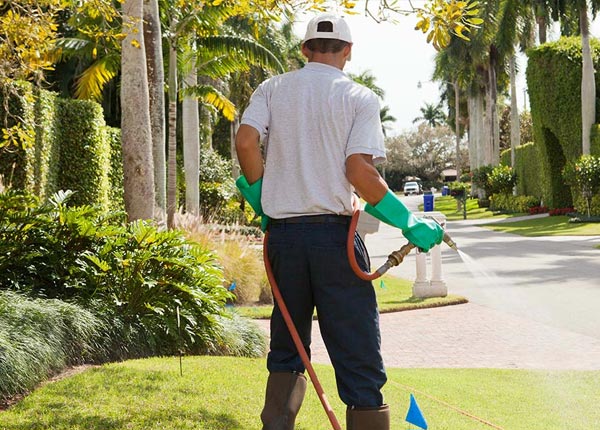 About Coosa GA Pest Control Pros